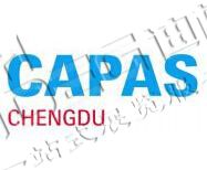 2025第十一屆成都國際汽車零配件及售后服務(wù)展覽會